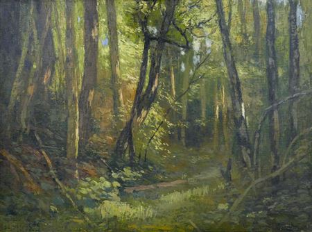 FOREST LANDSCAPE