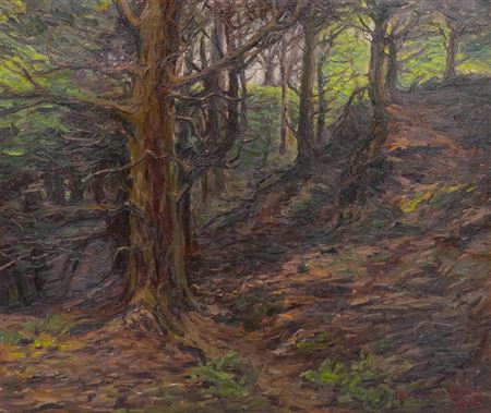 FOREST LANDSCAPE