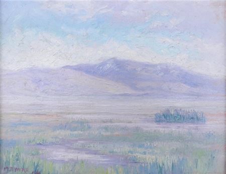 DESERT LANDSCAPE