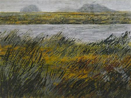 SKAGIT VALLEY LANDSCAPE
