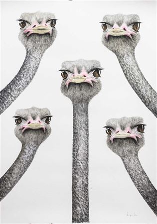 OSTRITCHES