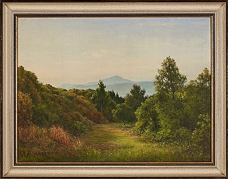 View of the Feldberg