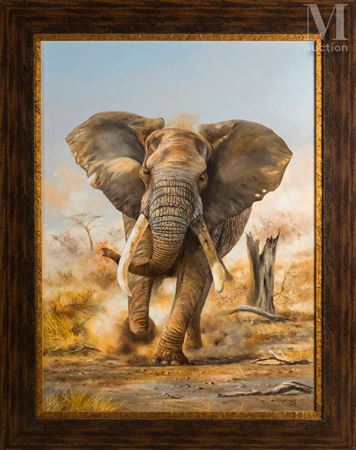 Charging Elephant