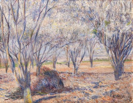 The trees in bloom