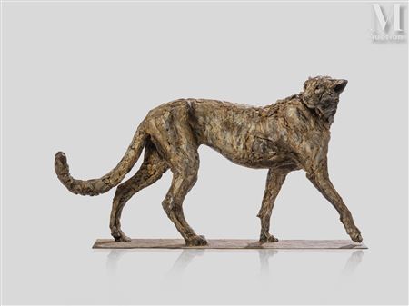 "Cheetah"