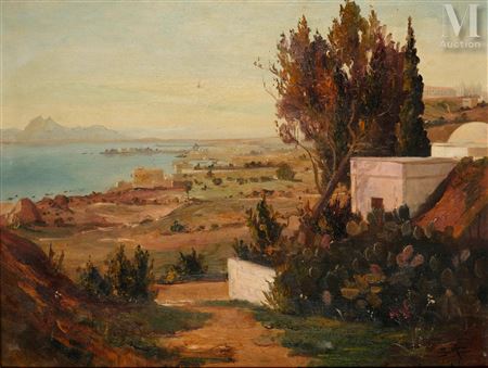 Landscape of the Tunisian coast