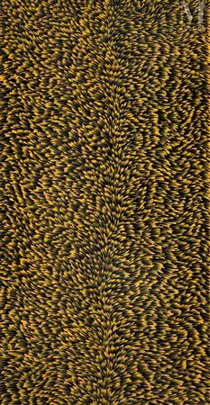 Bush Medicine Leaves, 2022