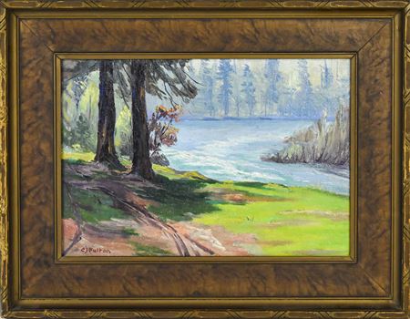 Sunny riverside landscape