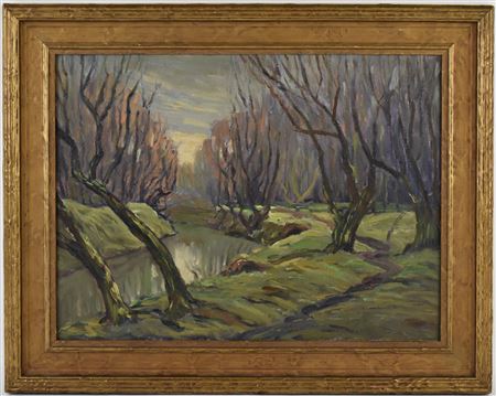 Shady stream in wooded forest