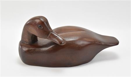 Duck Decoy
