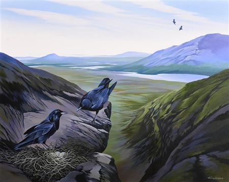 Nest in the Twelve Bens