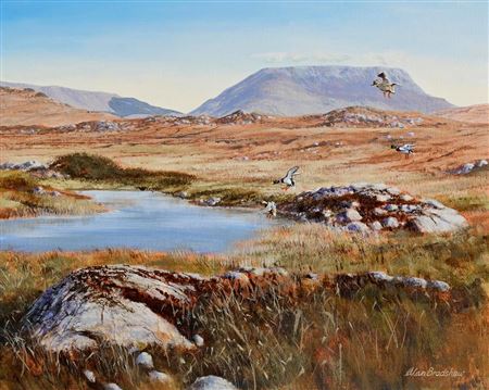 West of Ireland