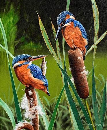 Amongst the Reeds