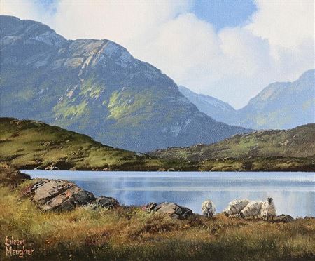 Sheep on Roundstone Bog, Connemara (2005)
