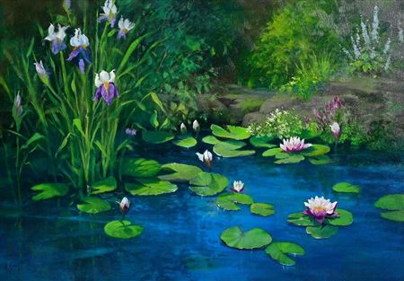 Lily Pond
