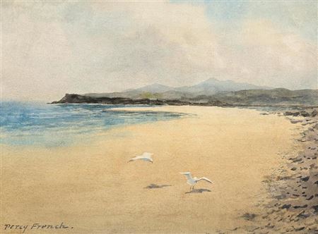 Seagulls on a Beach