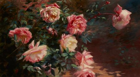 Still Life Of Roses