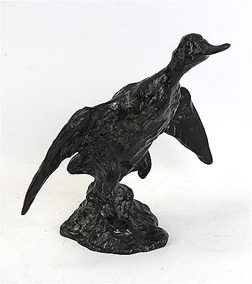 L'envol du canard