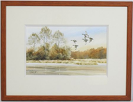 Flight of ducks