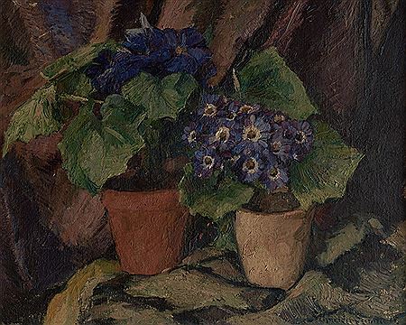 Still Life with Cineraria in Pots by Leo Schneider-Seenuss - Auction record, sale price, and art valuation. Compare with similar artists and explore comparable artworks.