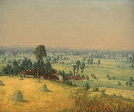 Extensive landscape with farmhouses
