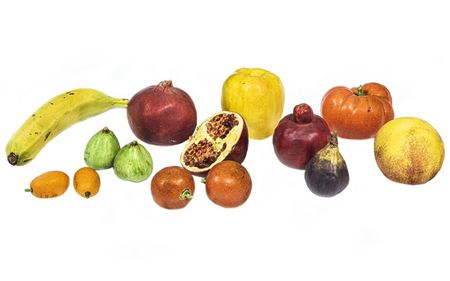 14 ceramic pieces of fruit