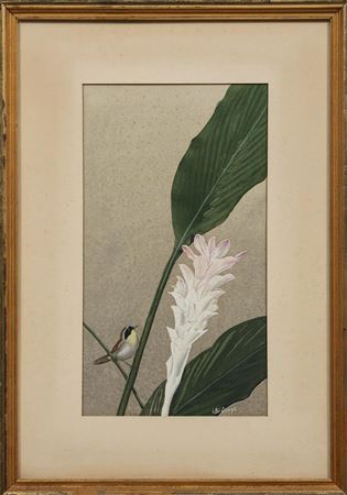 "White Winged Vireo and Fringe""Yellowthroat" and "Ruby-Crowned Kinglet" (3)