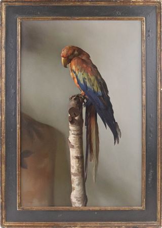 The Parrot