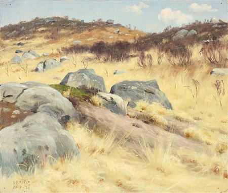Rocks in the moor