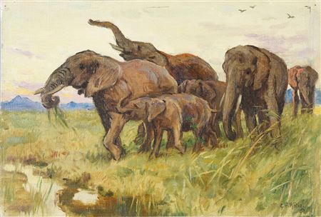 Herd of elephants