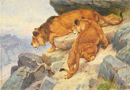 Lioness and lion on the lookout on the rocks