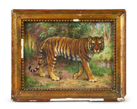 The Tiger