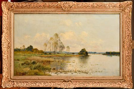 Swamp landscape