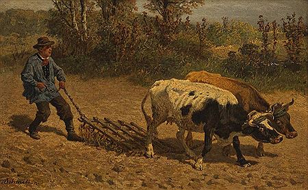 "Bauer bei der Feldarbeit mit zwei Kühen"
