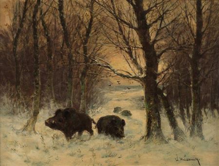 Sauenrotte im Winterwald