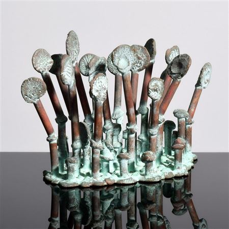 "Sea Anemone."