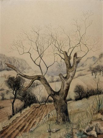 Pasture in Spring