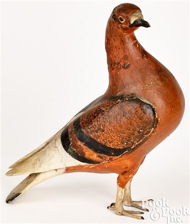 Pigeon