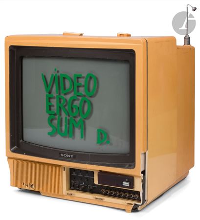 Video Ergo Sum