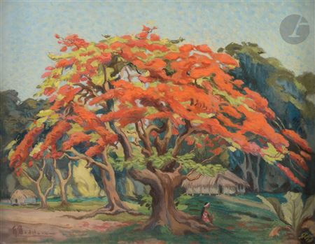 Polynesia, the flamboyants
