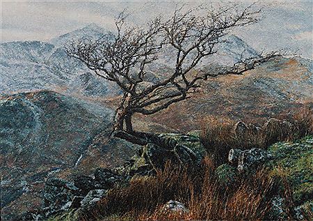 Eryri landscape