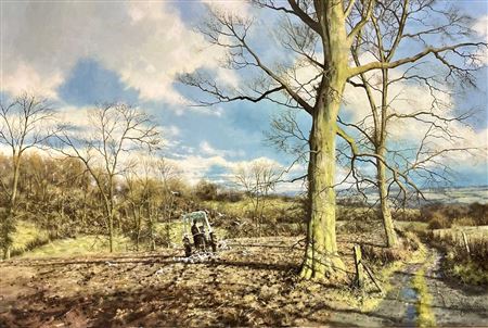 Seagulls following tractor and plough by Tony Wooding - Auction record, sale price, and art valuation. Compare with similar artists and explore comparable artworks.