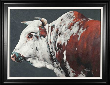 Nguni Bull