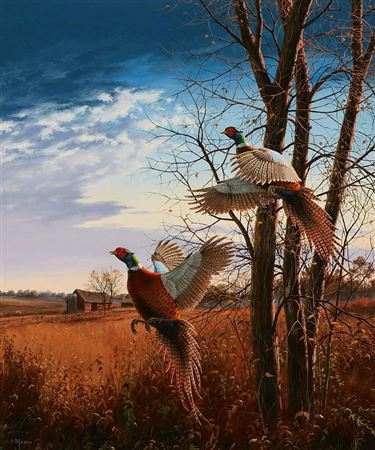 "Evening Flight - Pheasants"