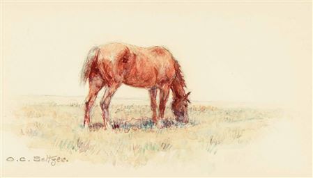 Grazing Horse