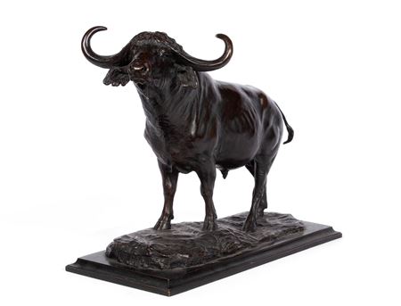 Water Buffalo, 1927