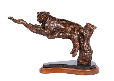 Mountain Lion, 2001