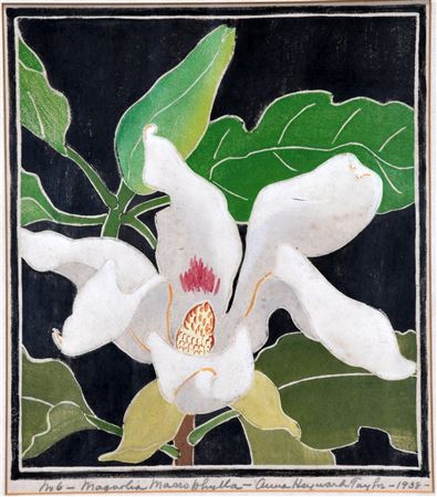 Magnolia No. 6 by Anna Heyward Taylor - Auction record, sale price, and art valuation. Compare with similar artists and explore comparable artworks.