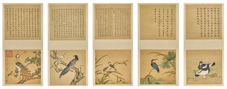 An Imperial manual of Birds (set of five frames)