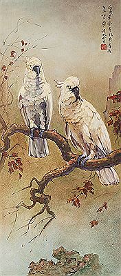 Two White Parrot